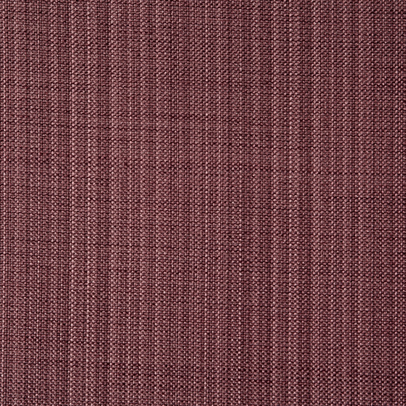 Gem Lavender