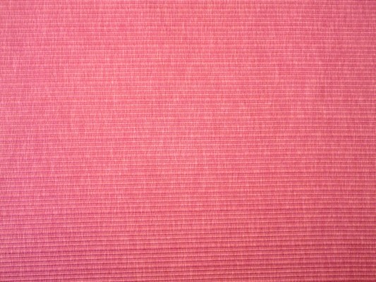Palomino Magenta