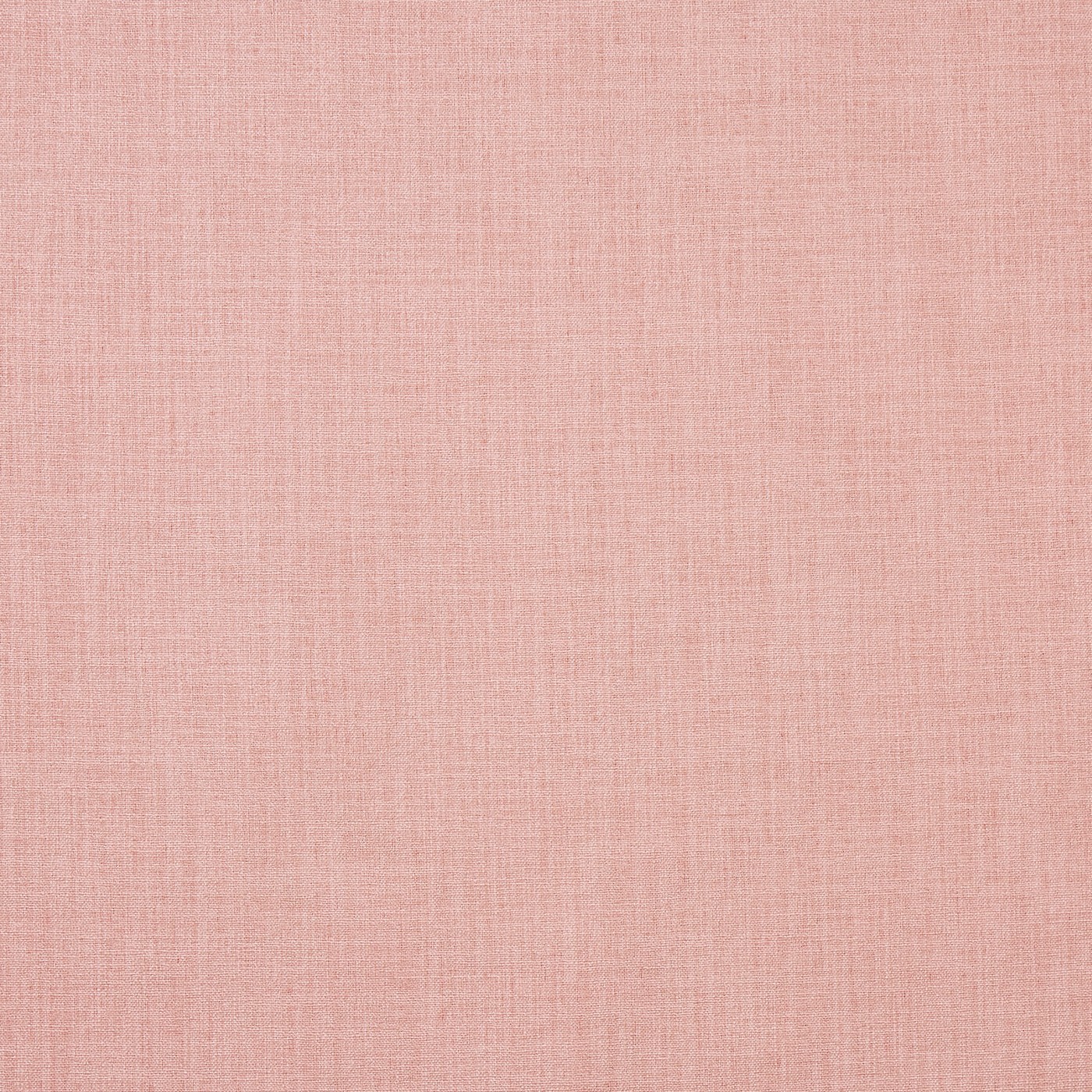 Saxon Blush