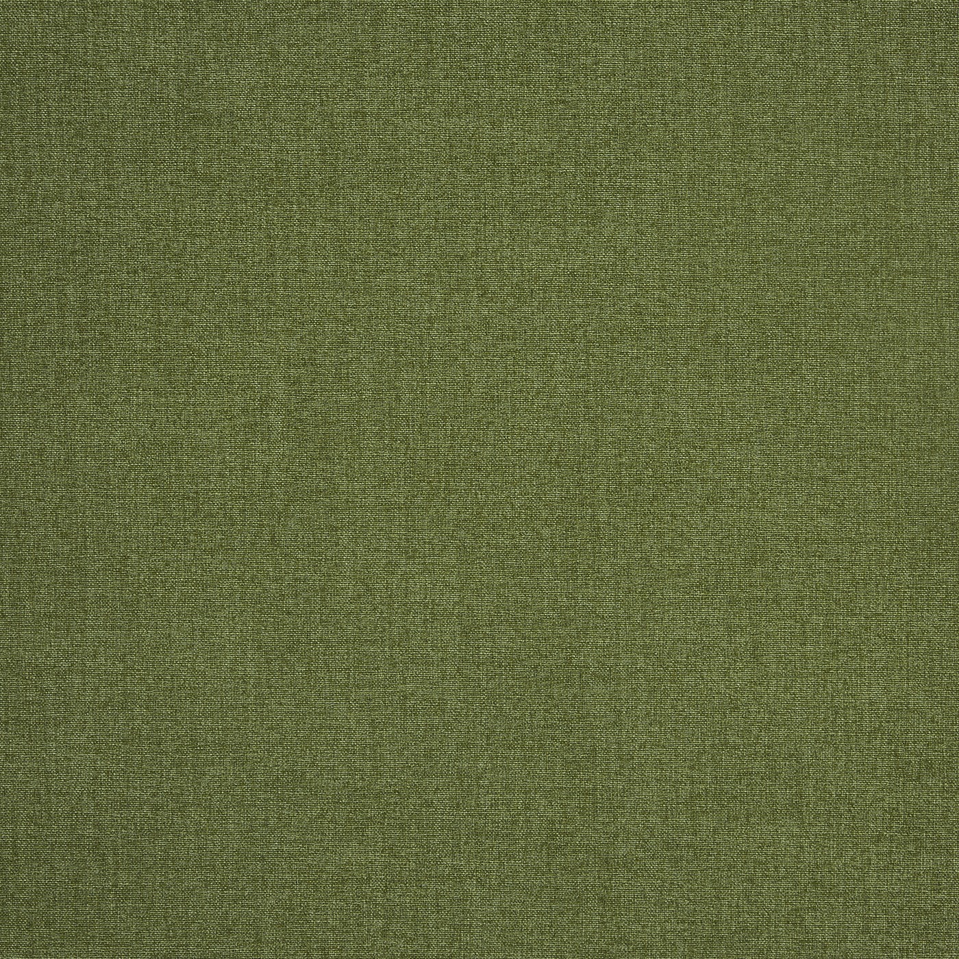 Saxon Olive