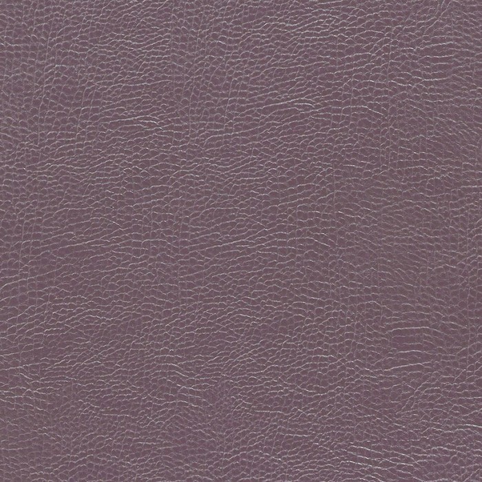 Buffalo Plum