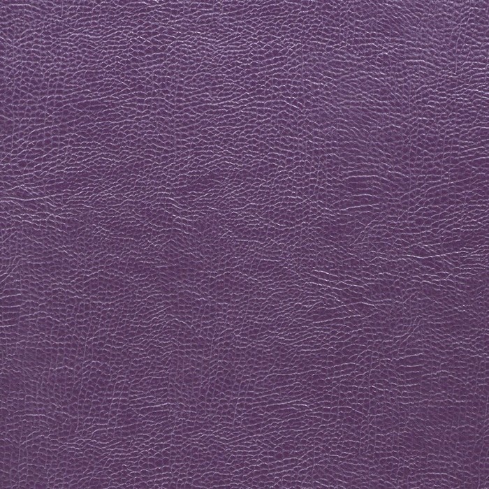 Buffalo Aubergine