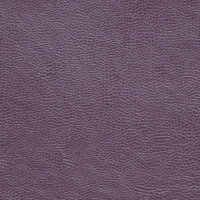 Buffalo Grape