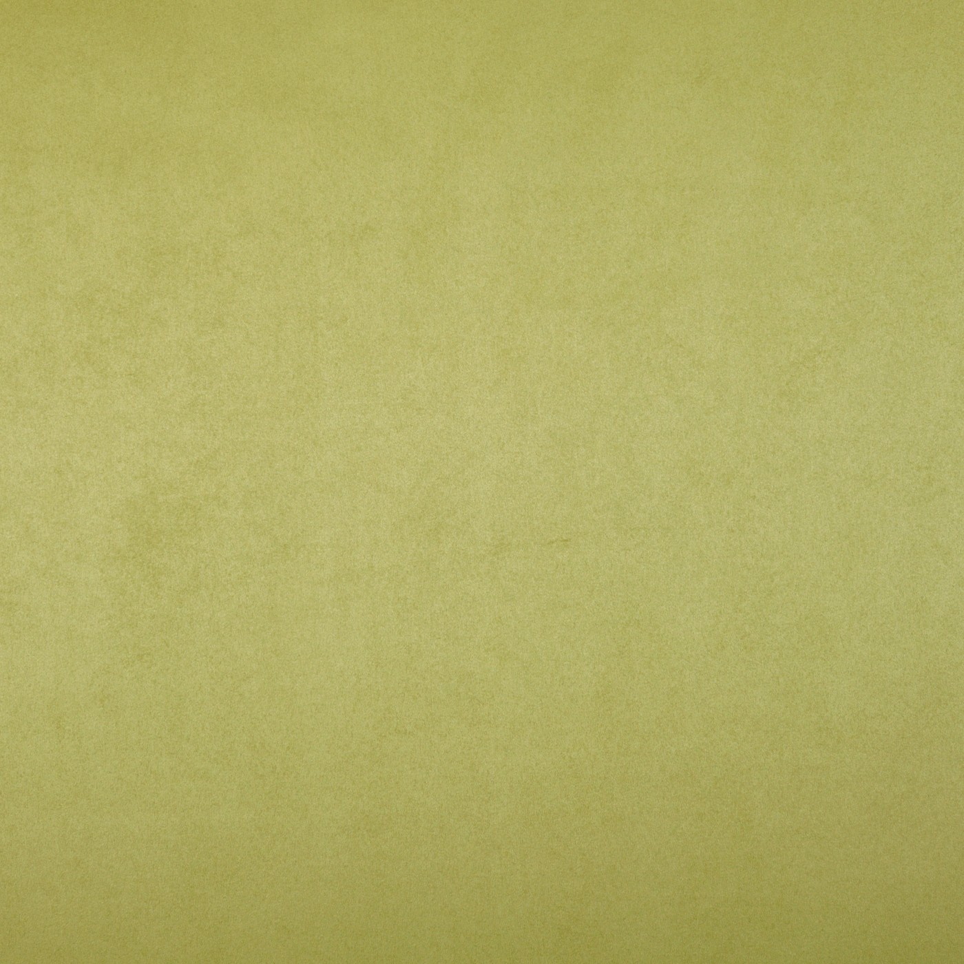 Mirage Moss