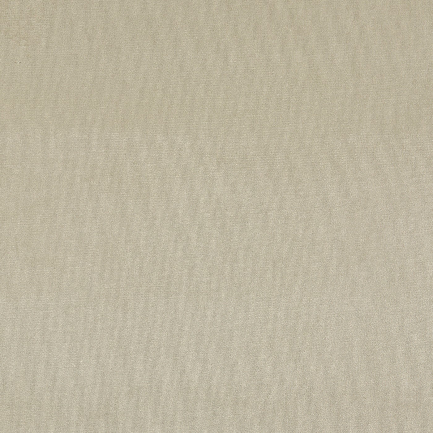 Velour Ivory - Eco