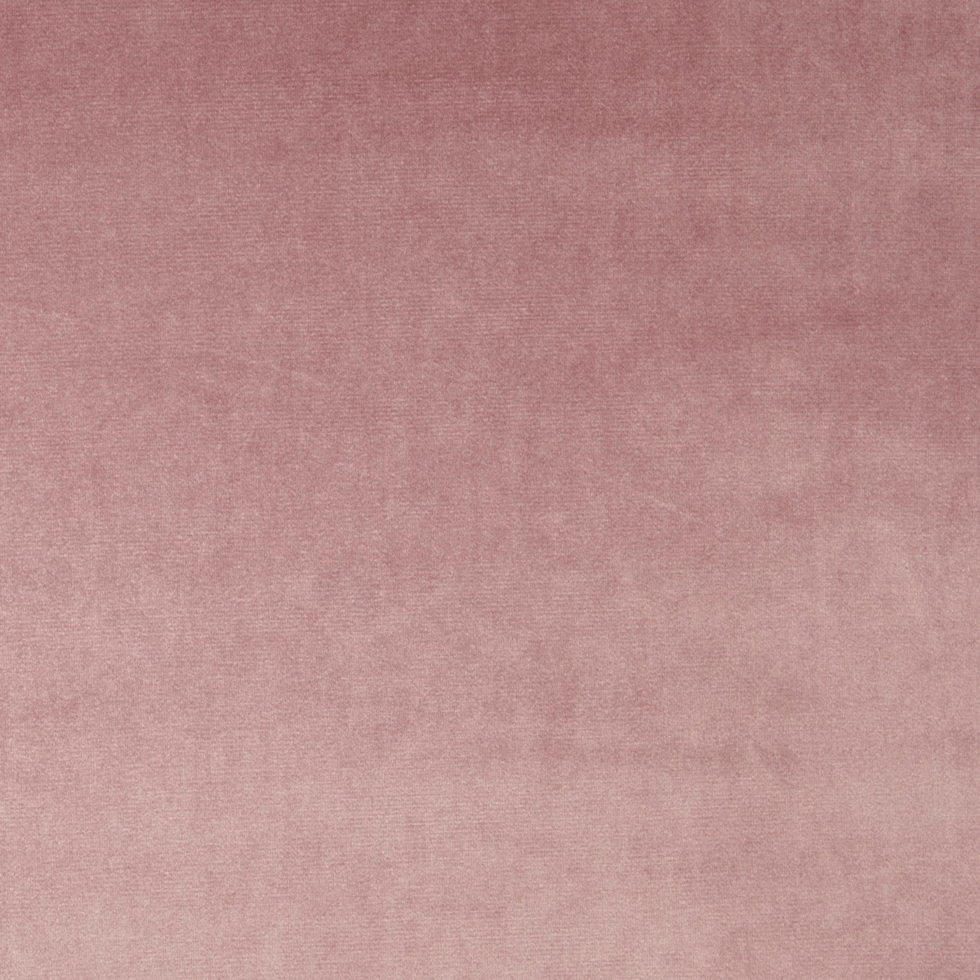 Velour Petal – Eco