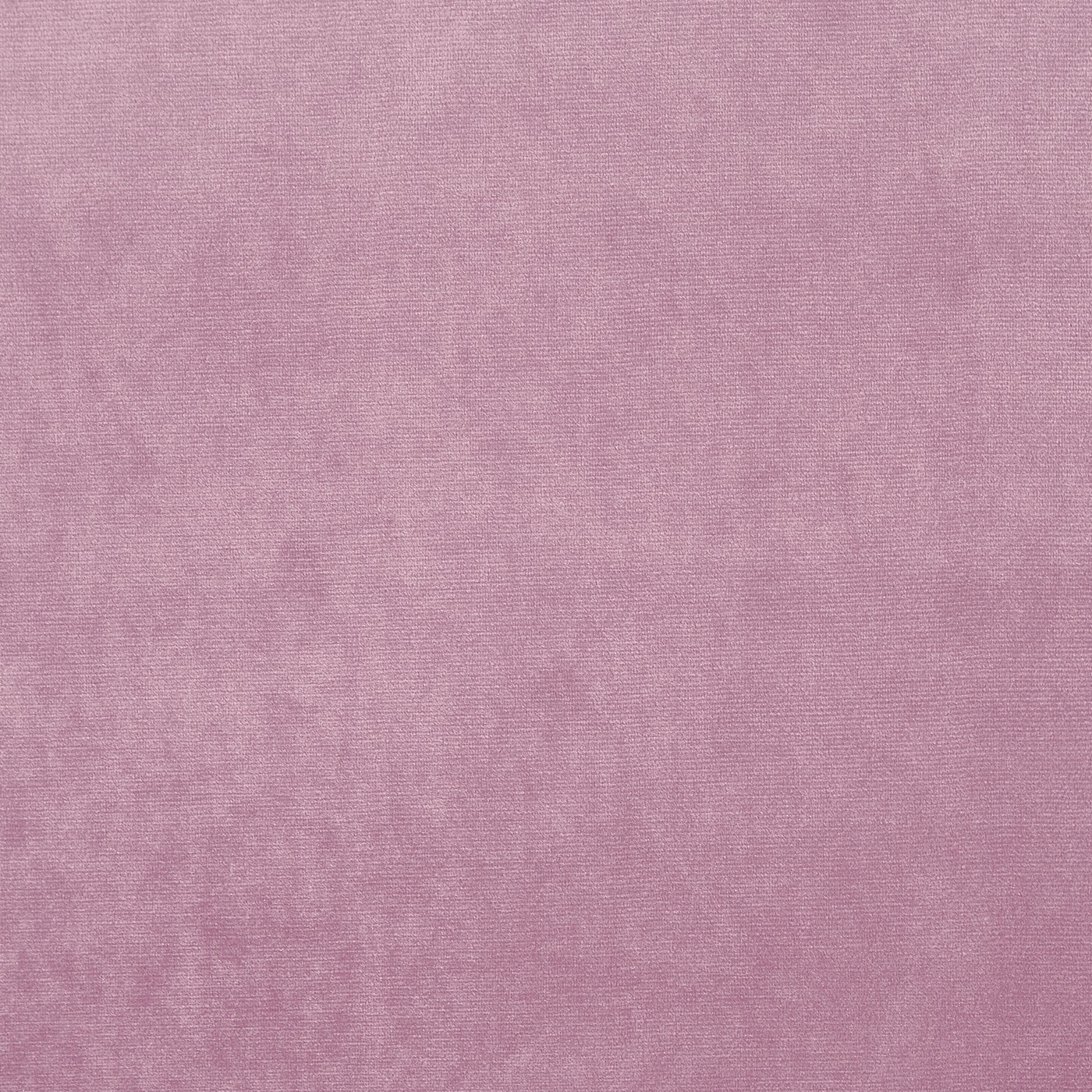 Velour Orchid – Eco