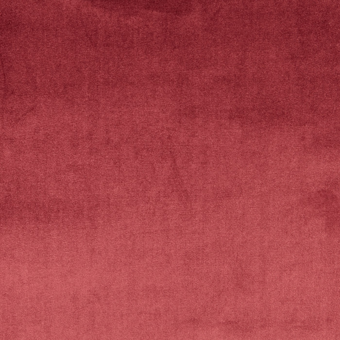 Velour Damson – Eco