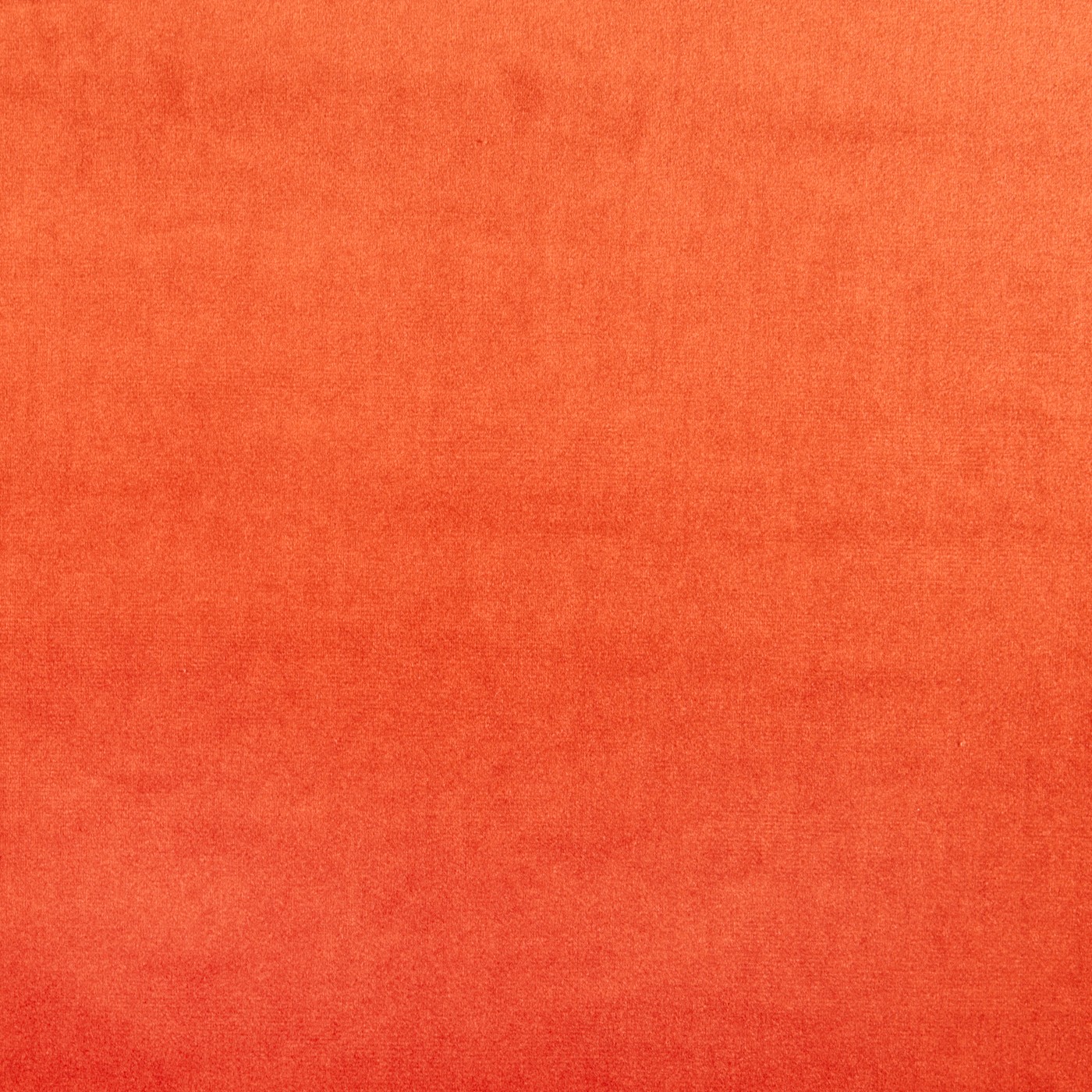 Velour Tango - Eco