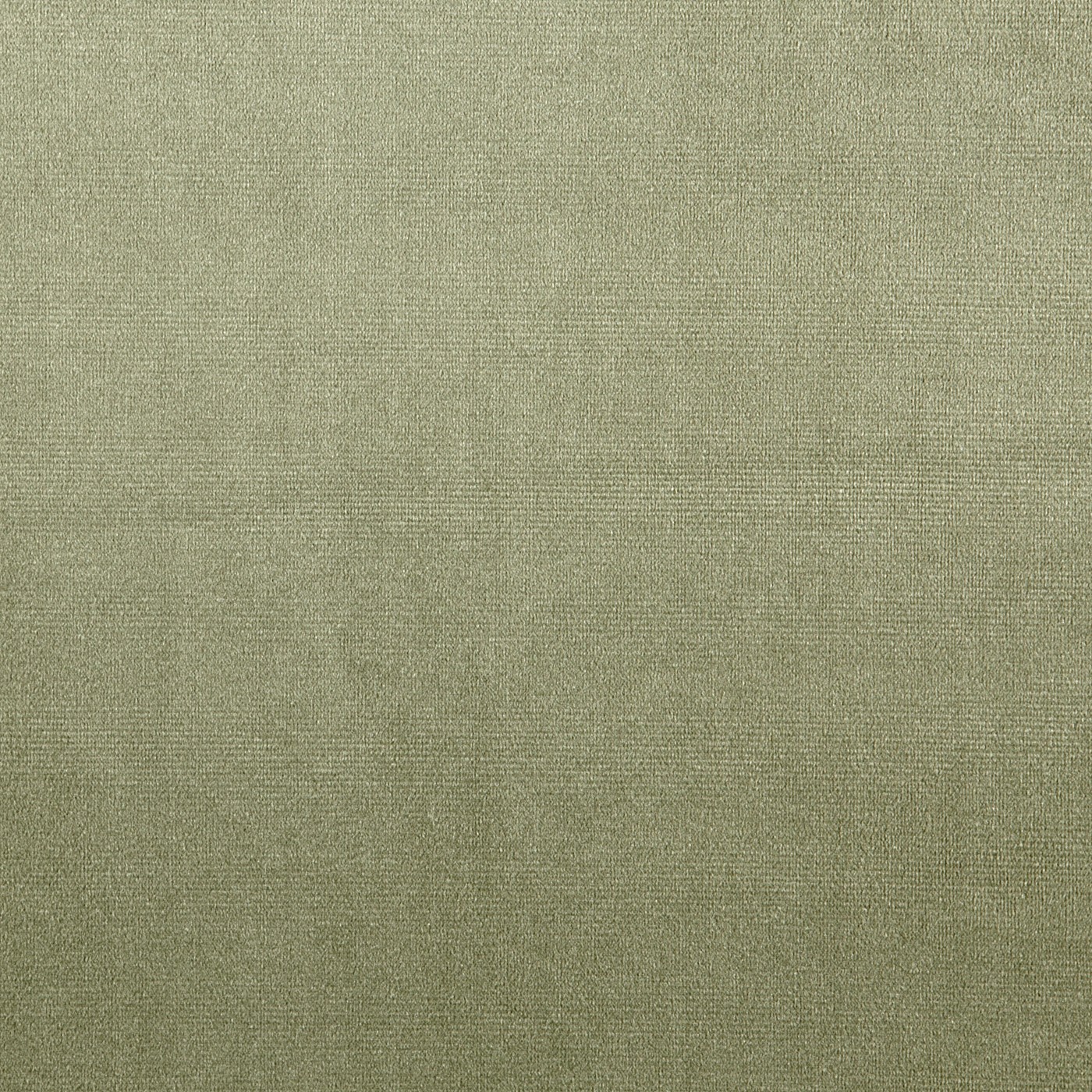 Velour Willow - Eco