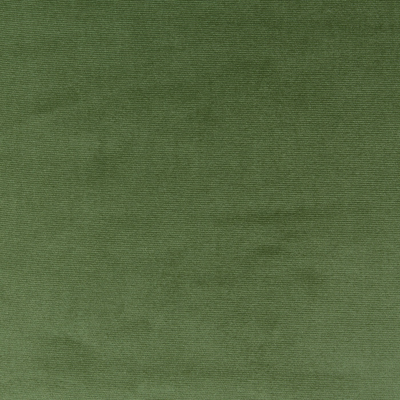 Velour Basil – Eco