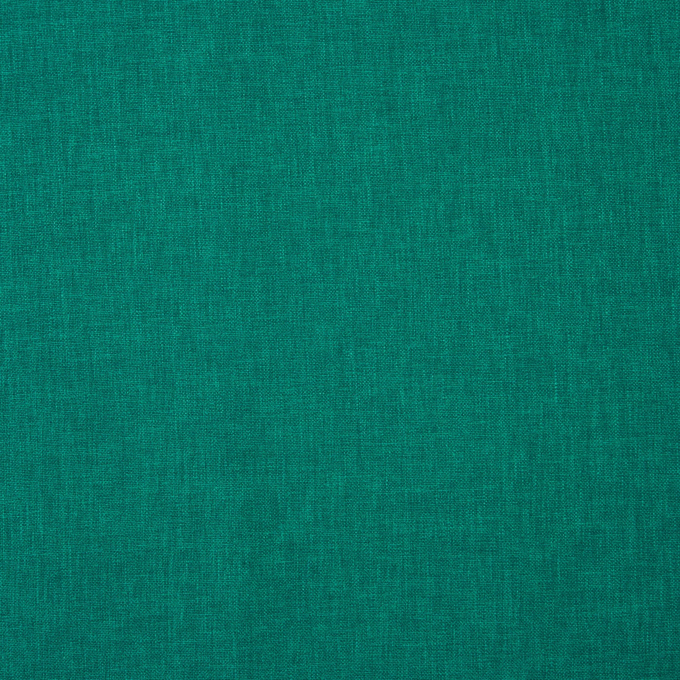 Oslo Kingfisher