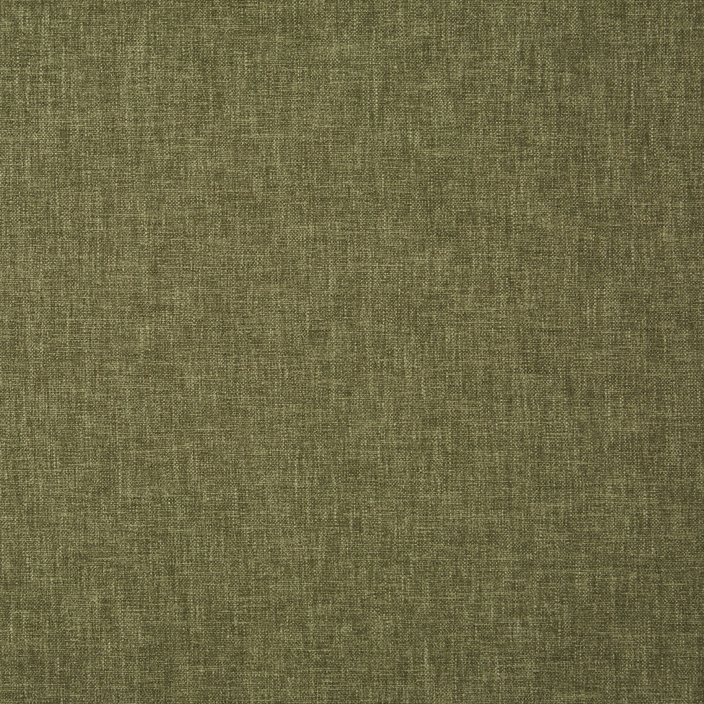 Oslo Fern