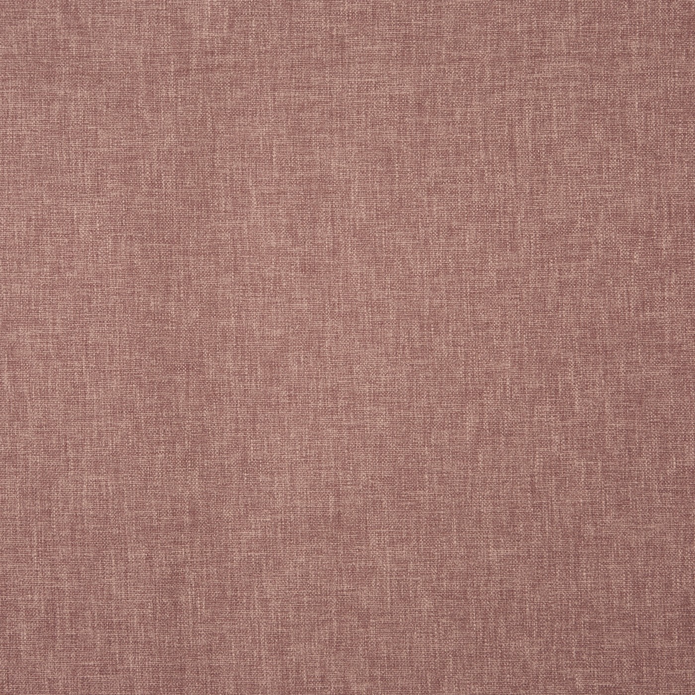 Oslo Clover