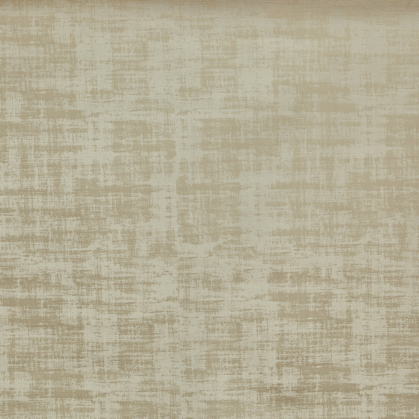Imagination Camel – Eco