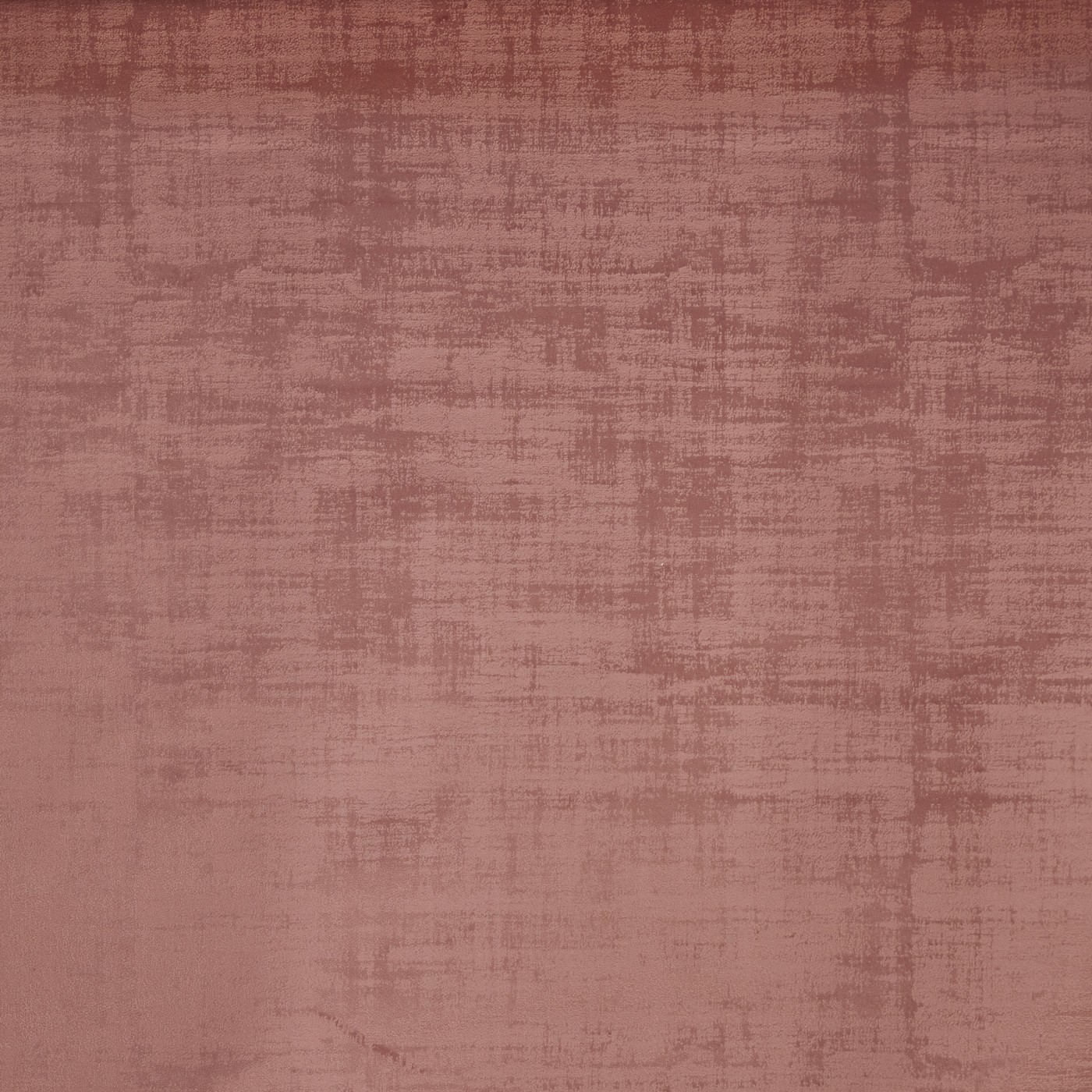 Imagination Peony - Eco