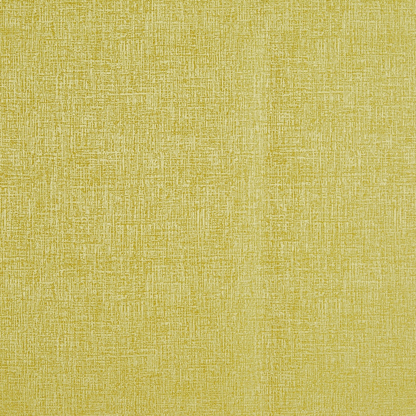 Spotlight Citron