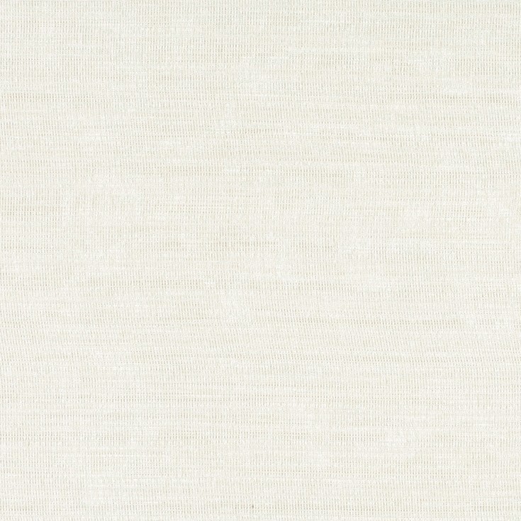 Alcor Oyster