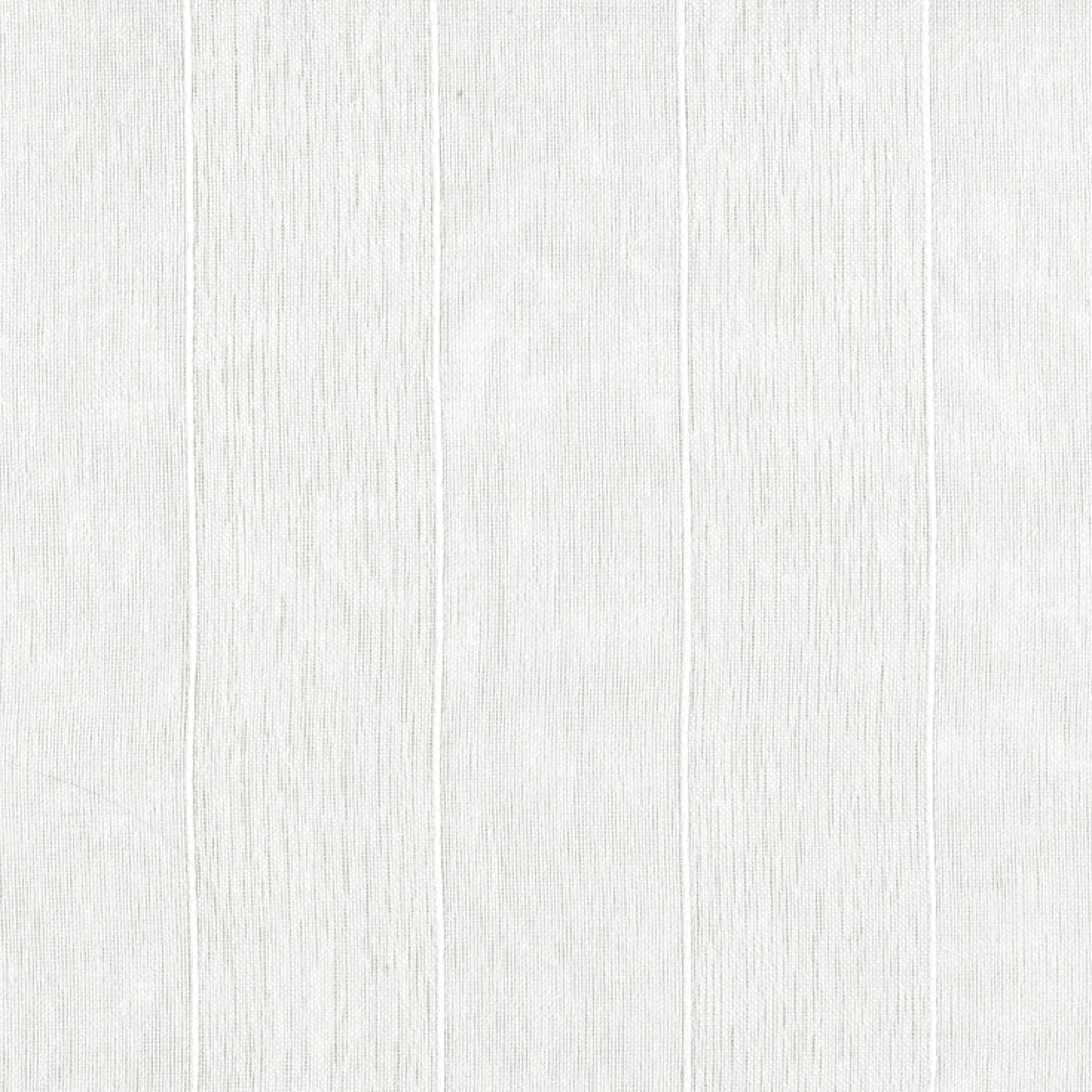 Delphinus Snow