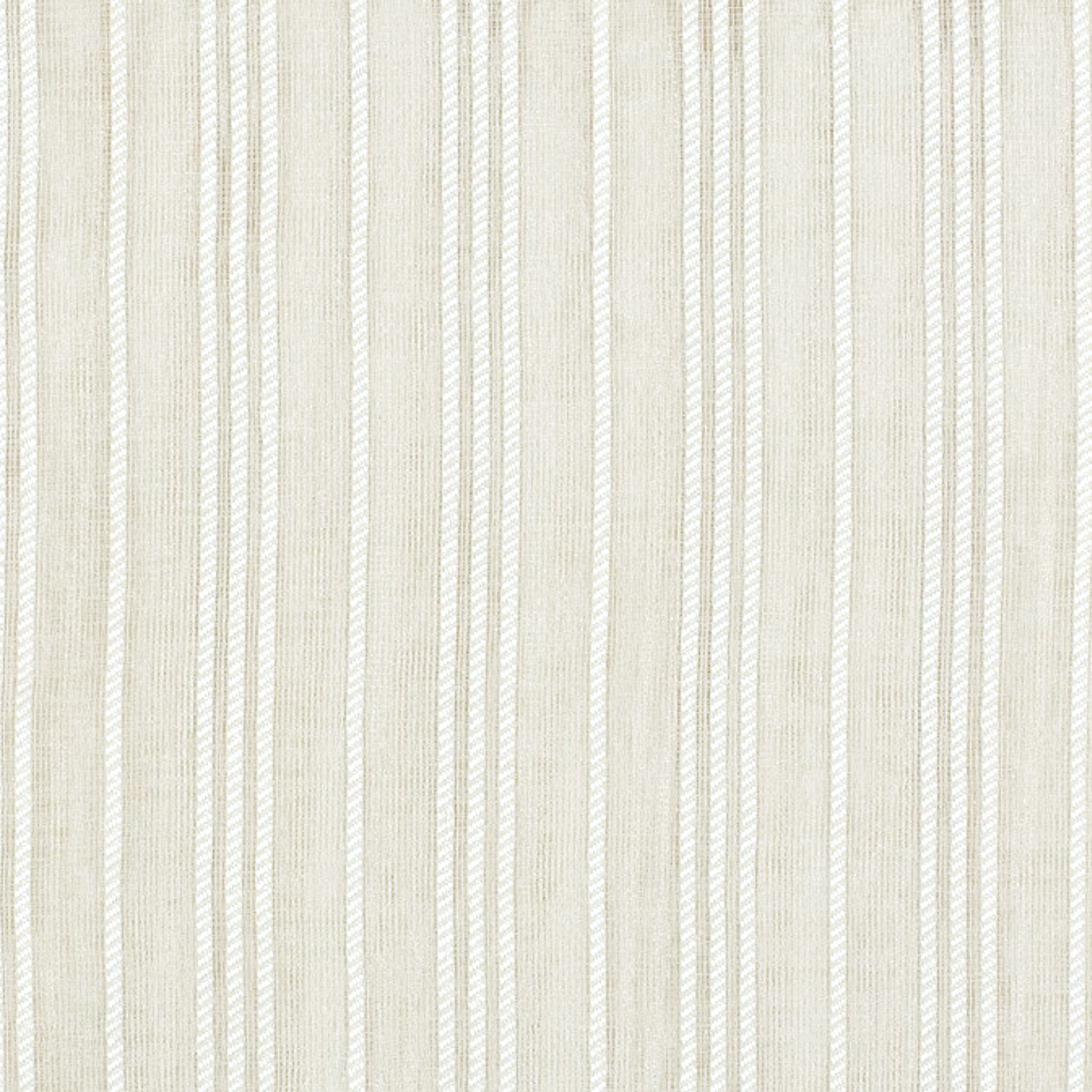 Hale Parchment