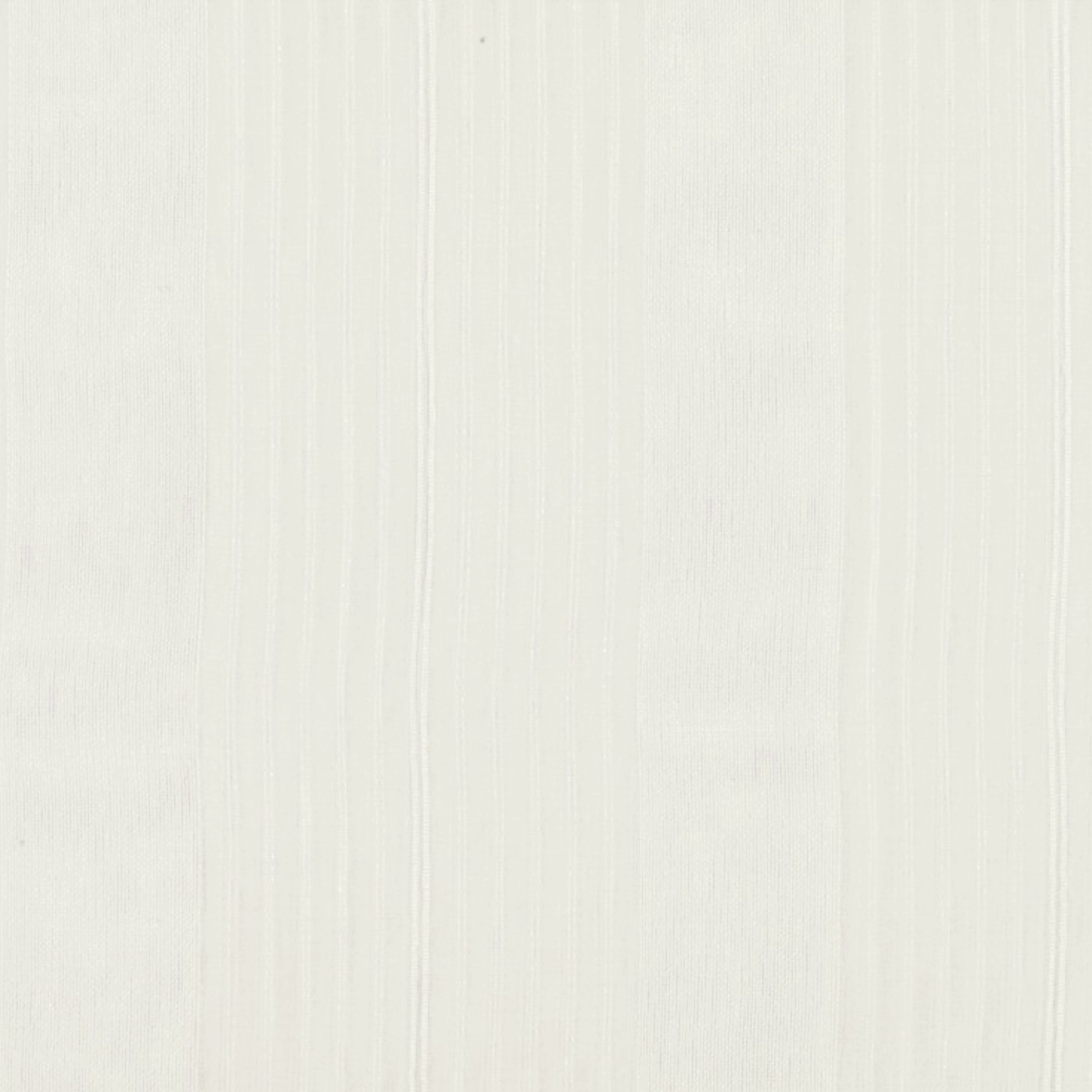 Rigel Parchment