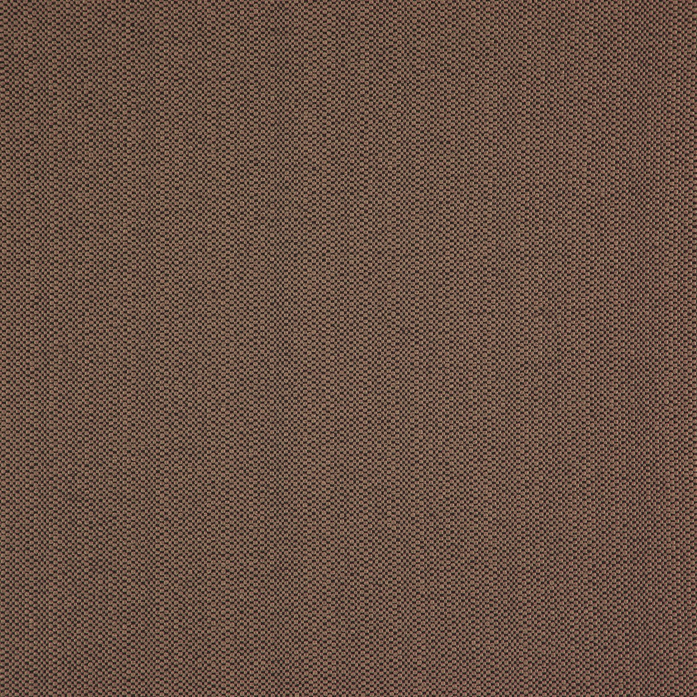 Helston Cinnamon