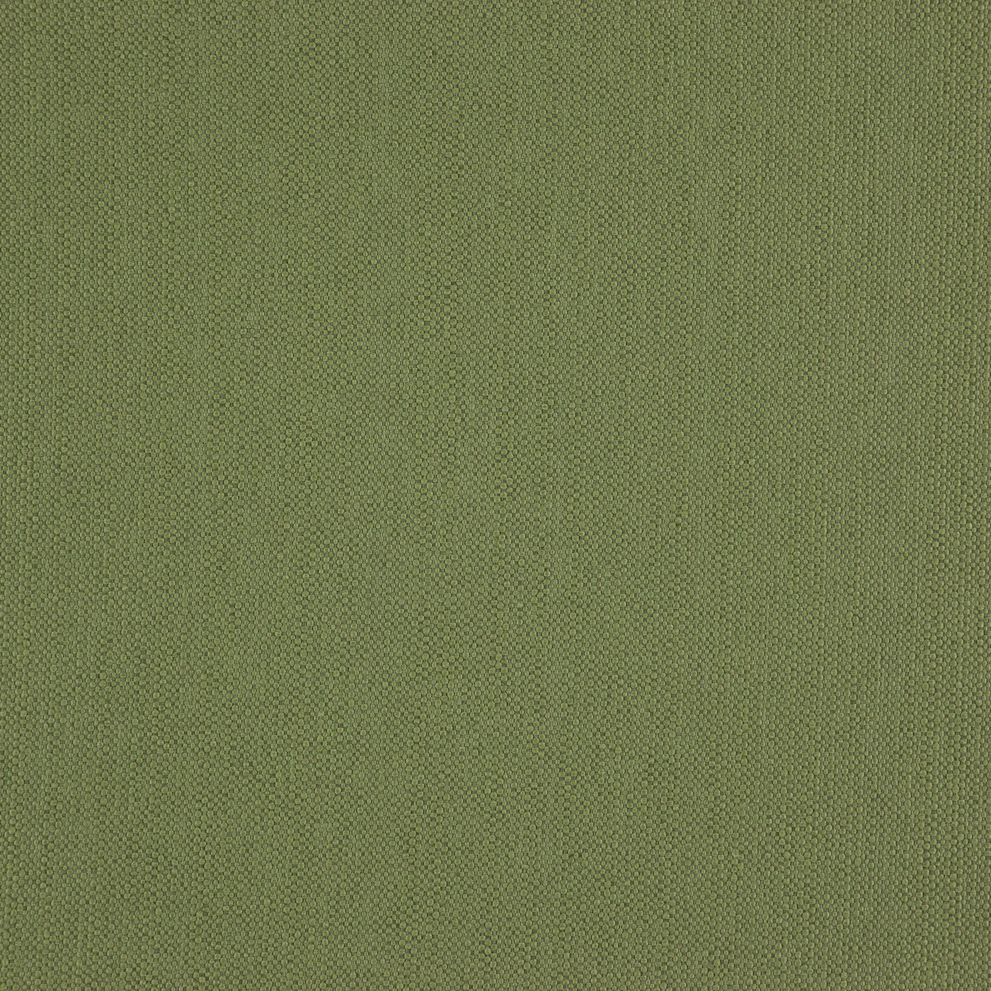 Helston Olive