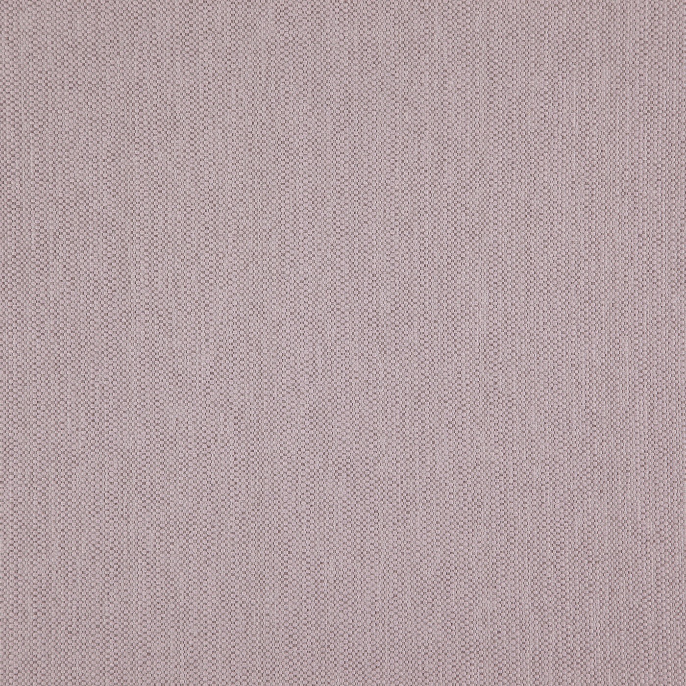 Helston Dove