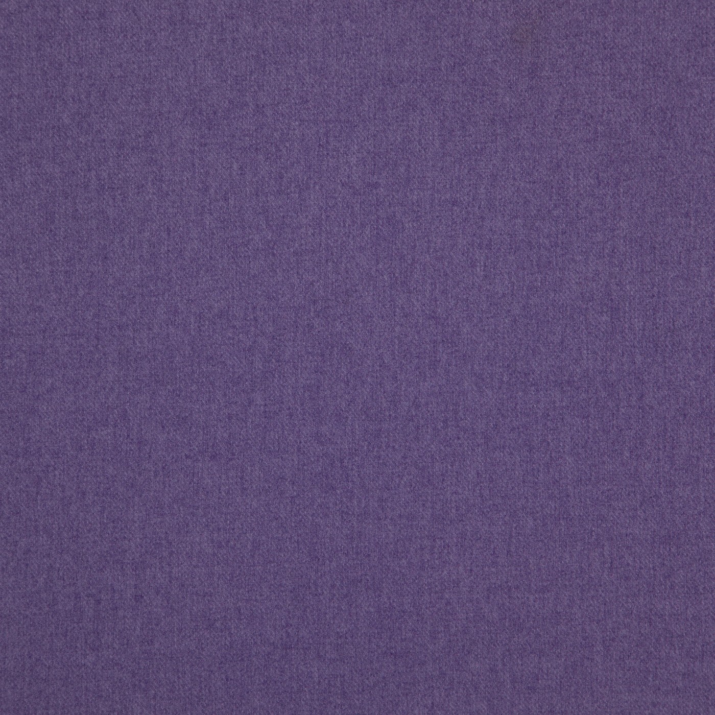 Portreath Violet