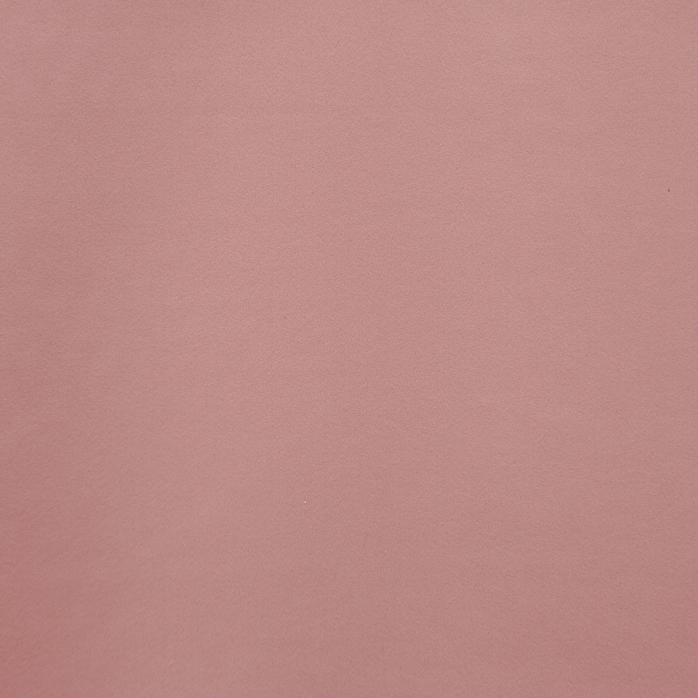 Calm Rose