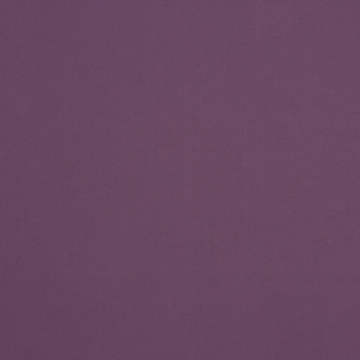Calm Aubergine