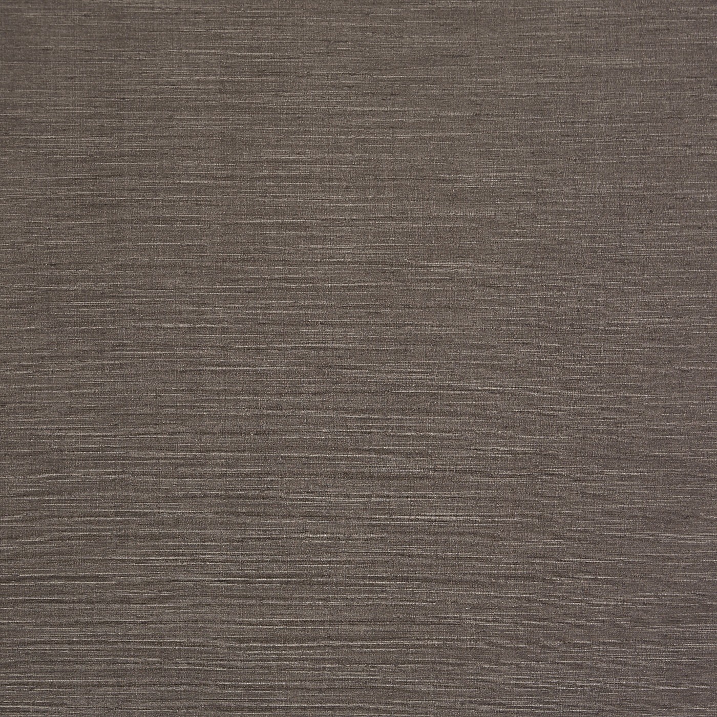 Tussah Cocoa