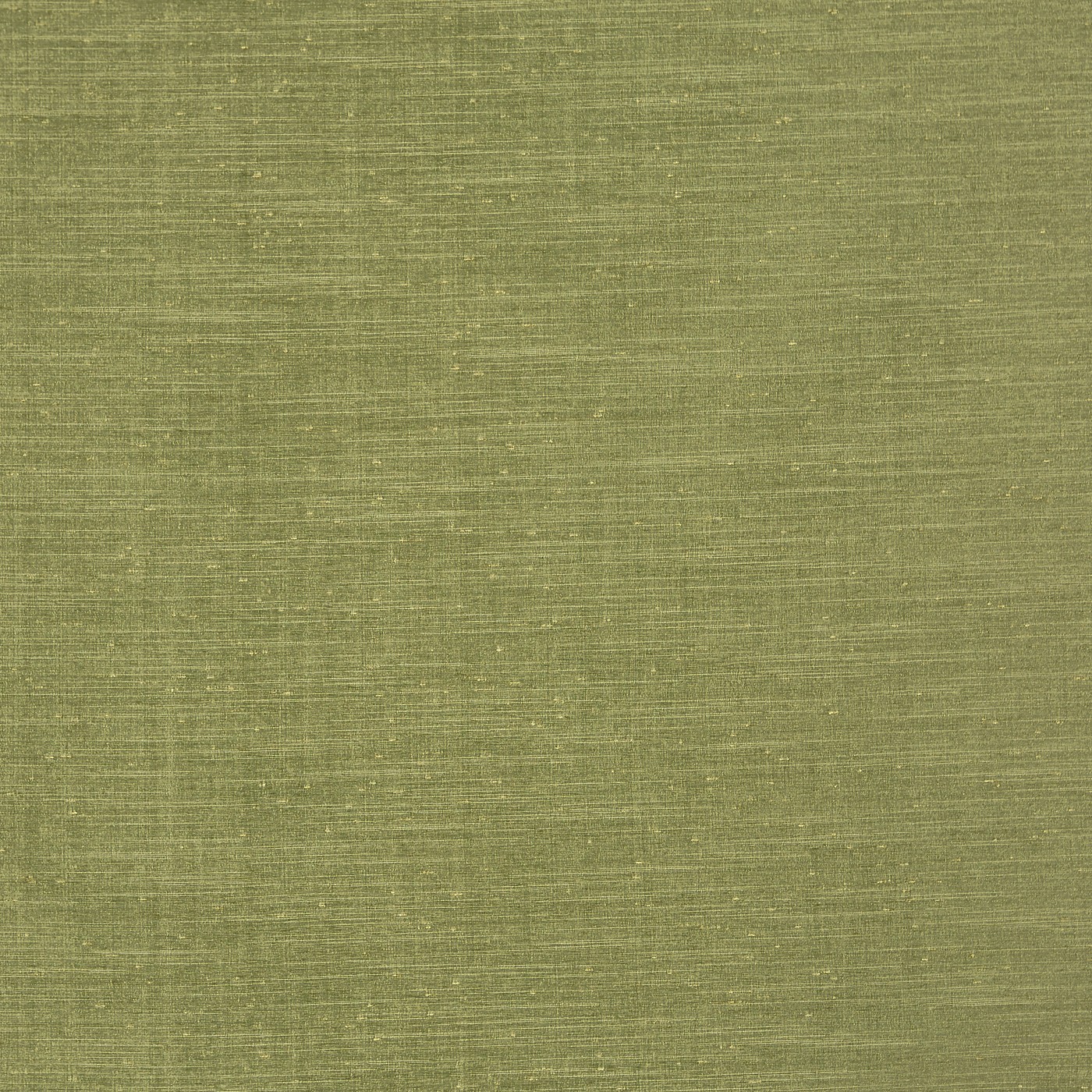 Tussah Forest