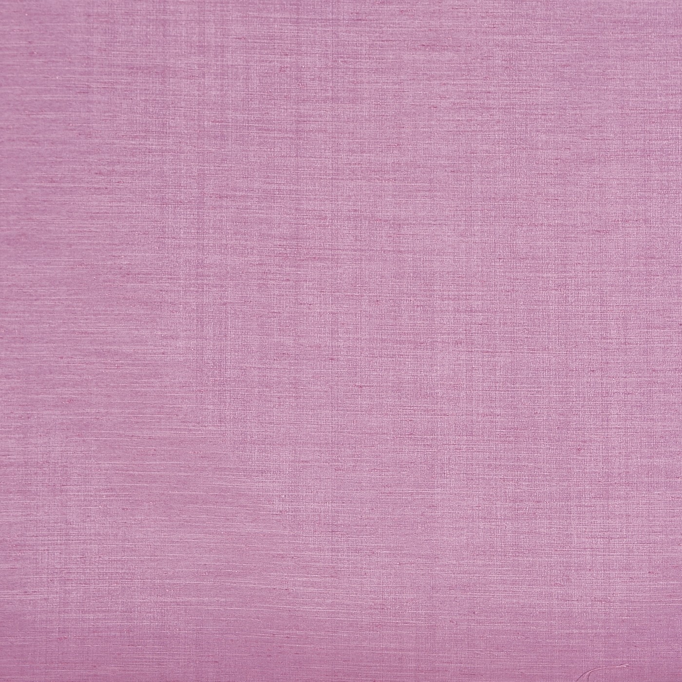 Tussah Wisteria