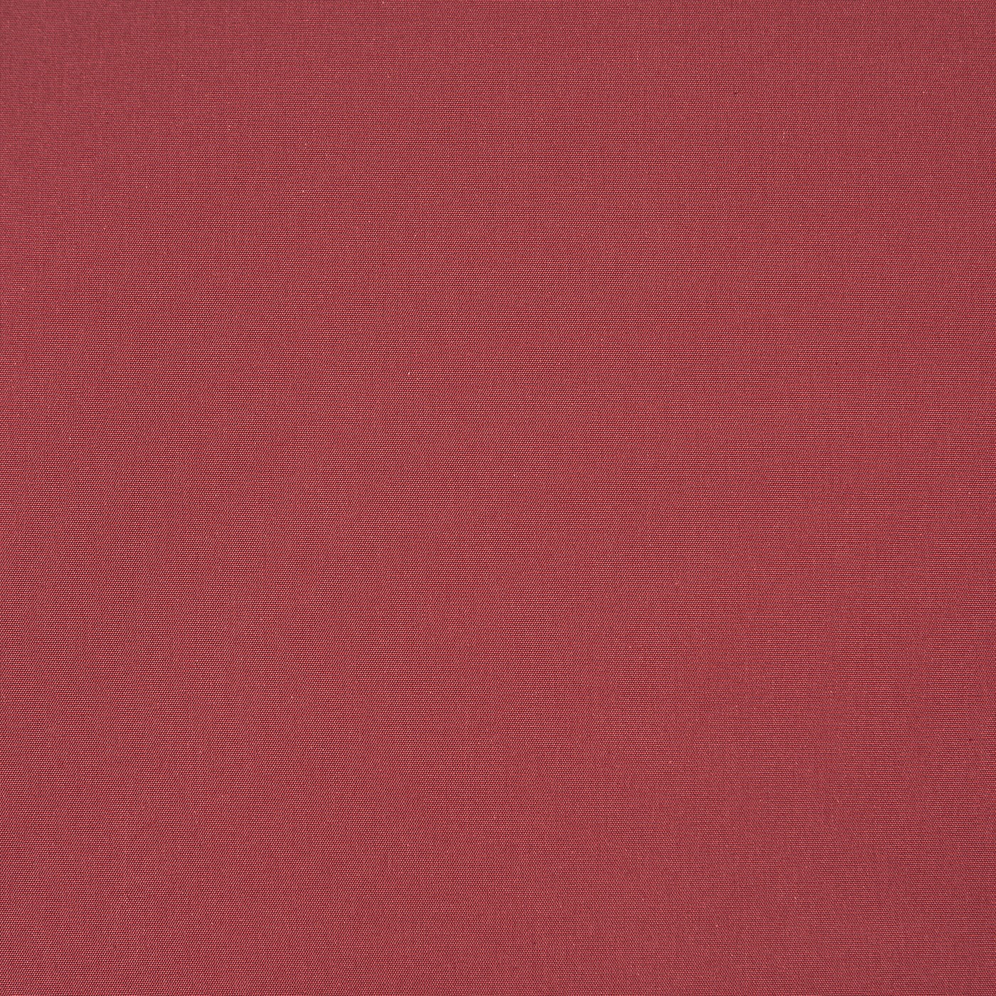 Core Cranberry
