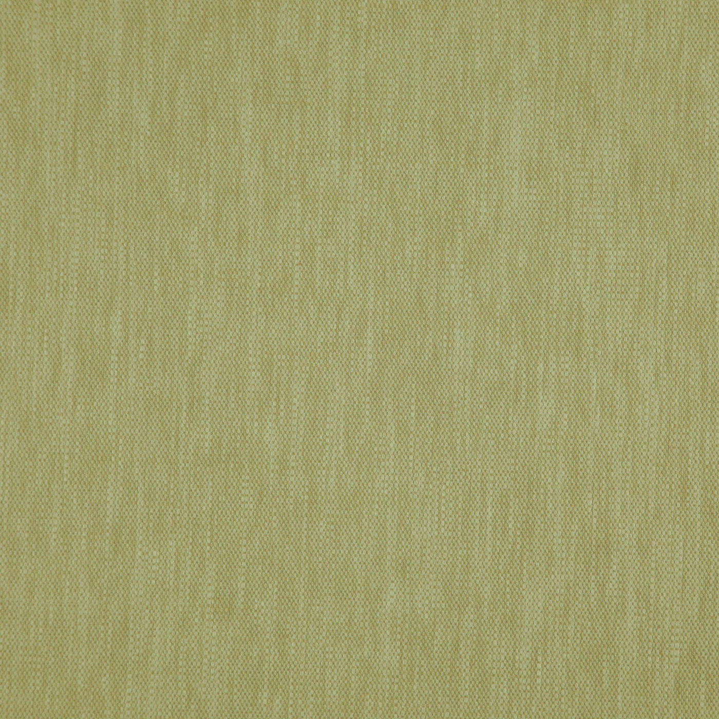 Madeira Olive