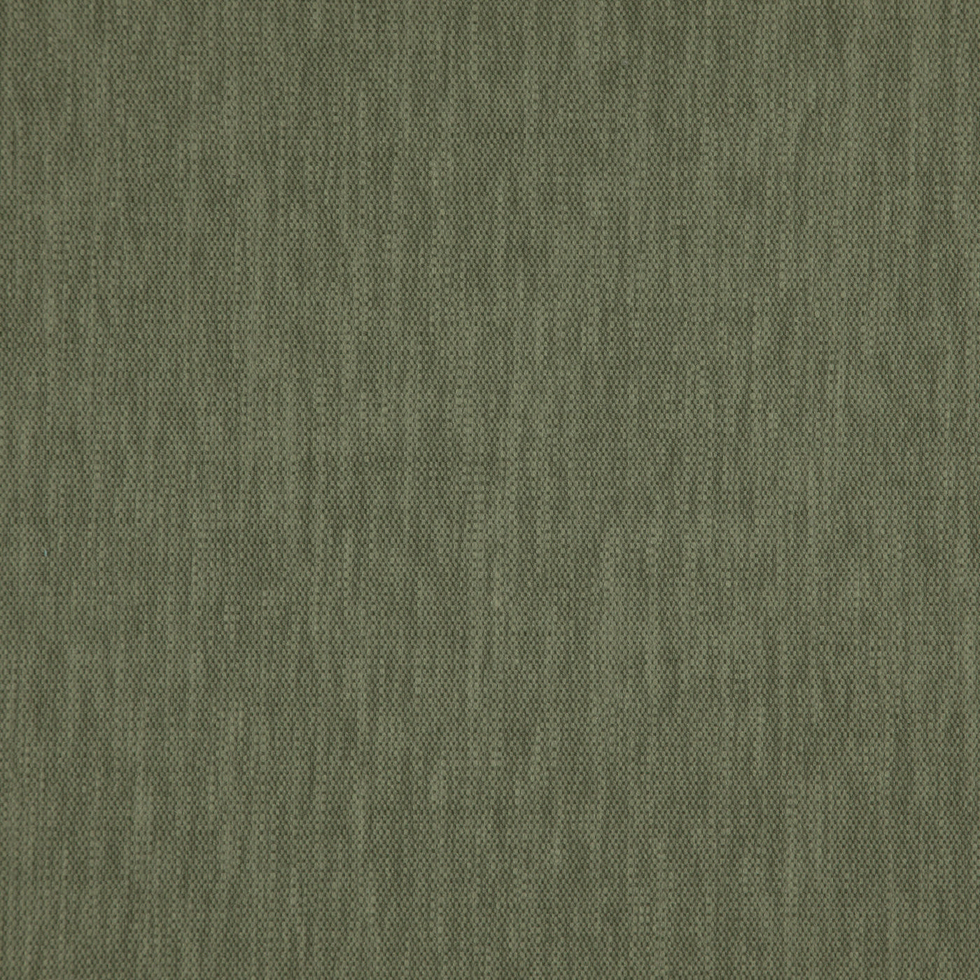 Madeira Moss