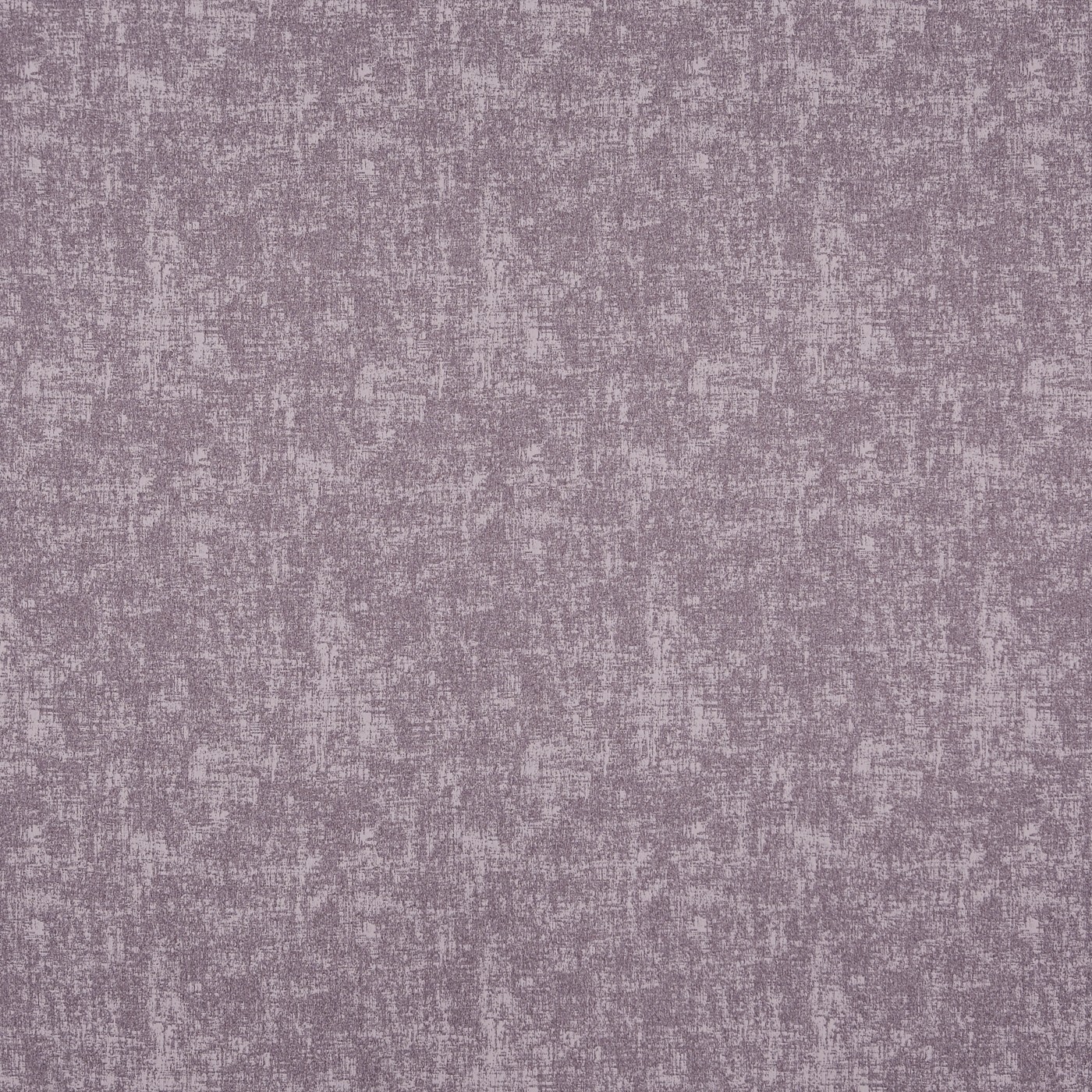Muse Heliotrope