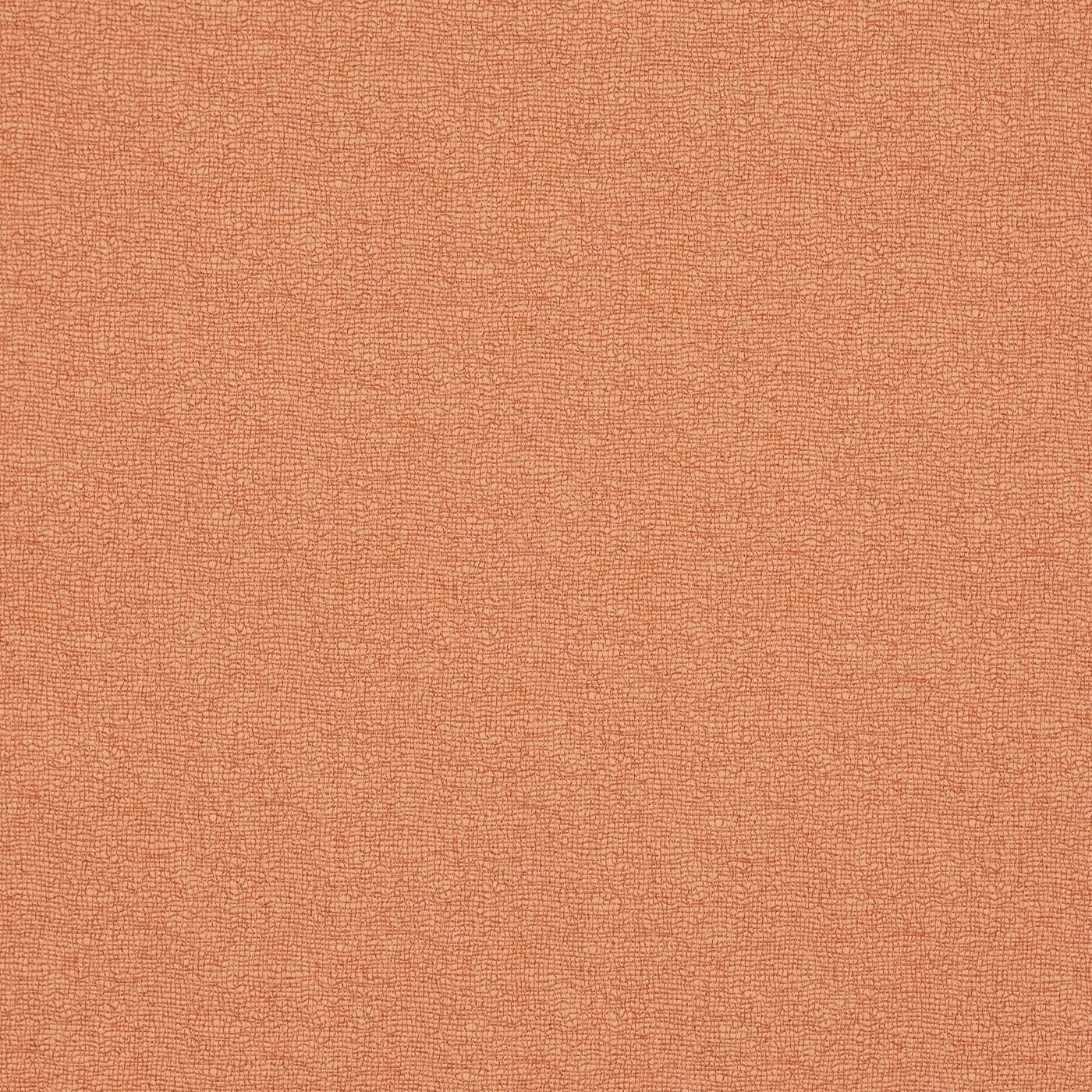 Trace Tangerine