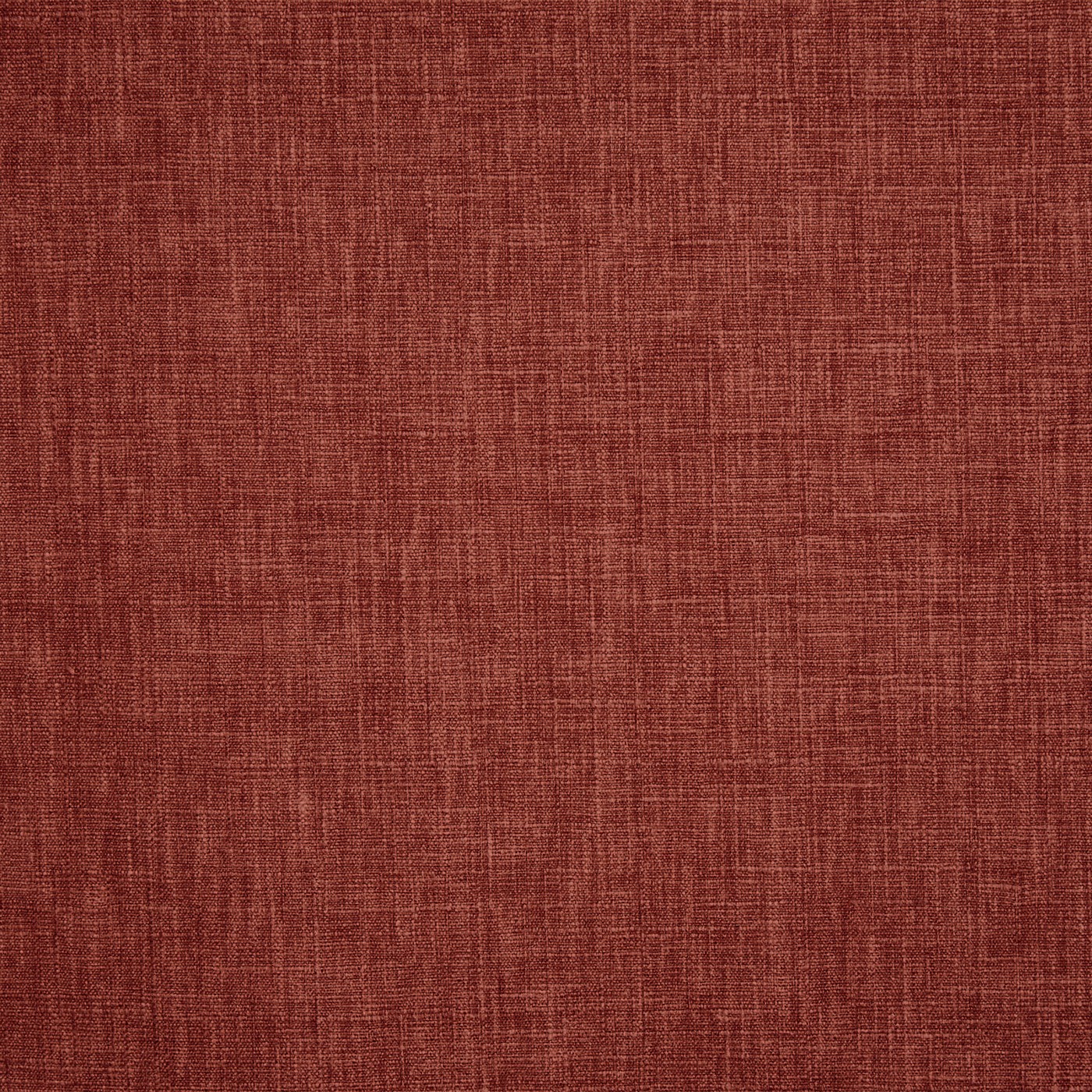 Iceland Chestnut