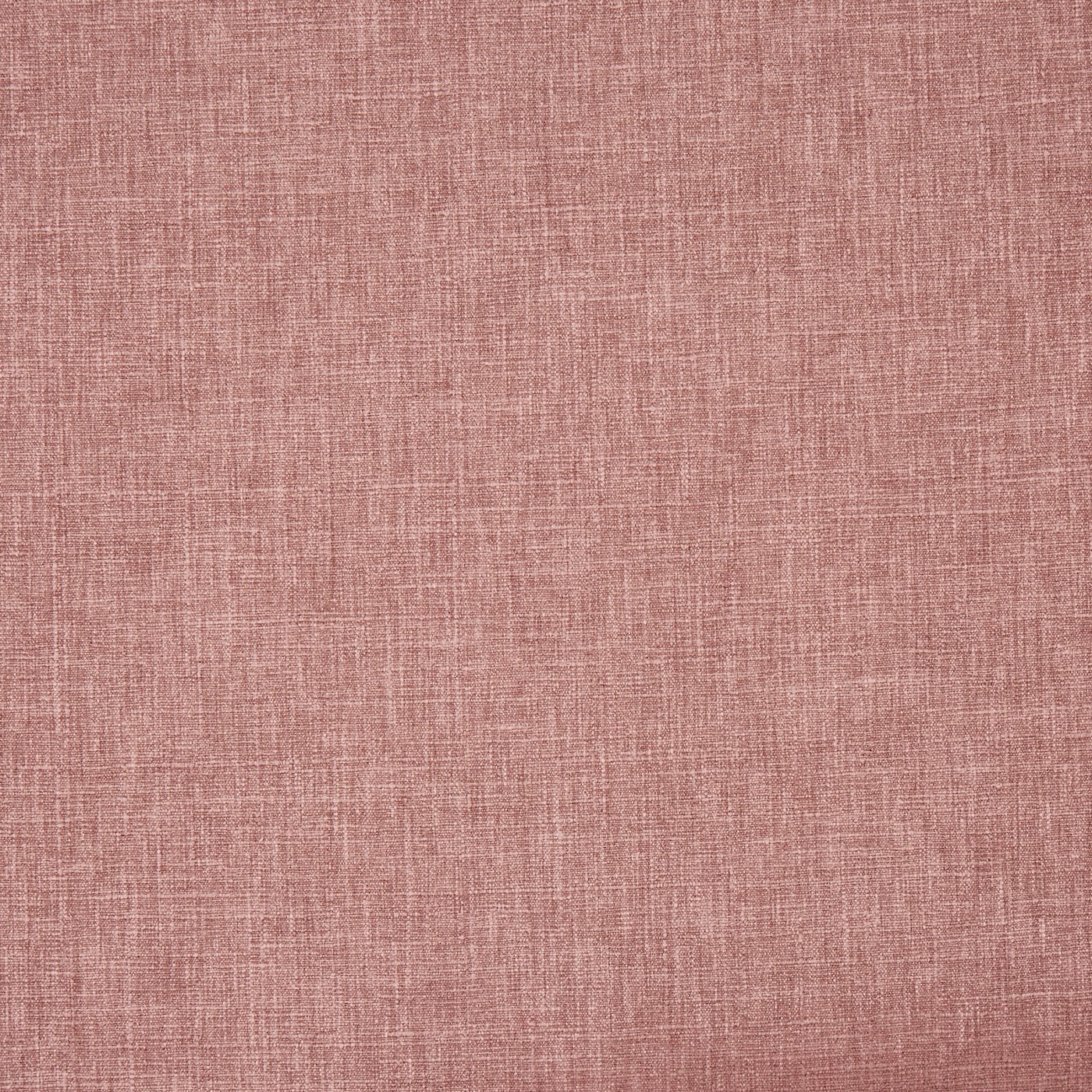 Iceland Pale Rosehip