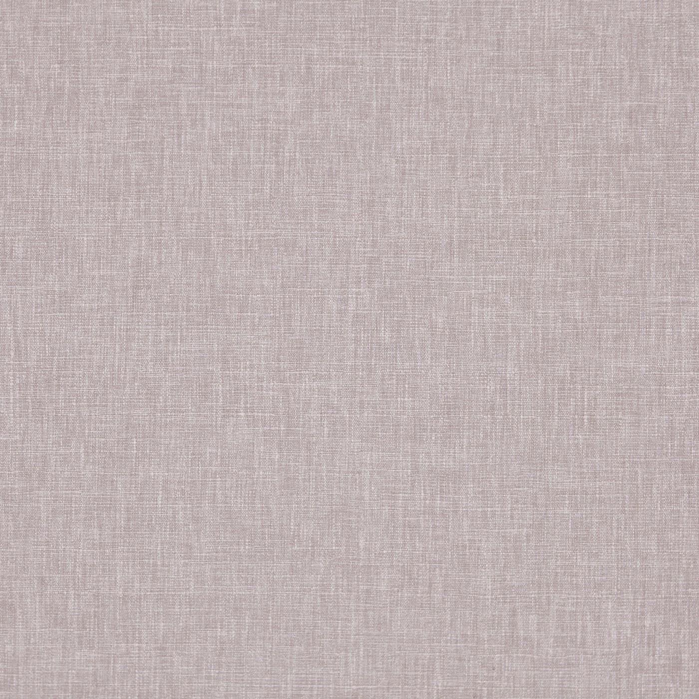 Iceland Ash Rose