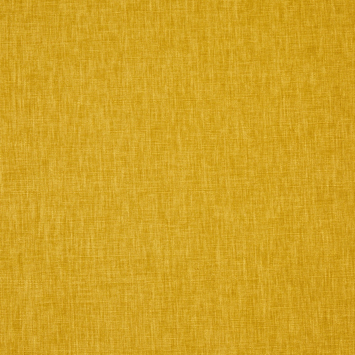 Iceland Saffron