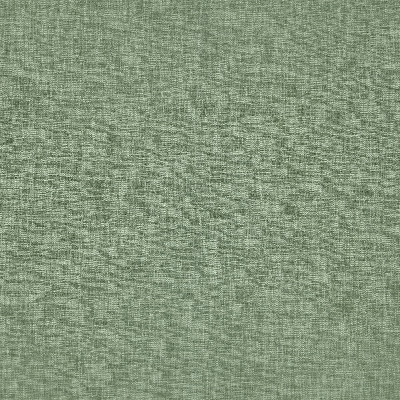 Iceland Myrtle
