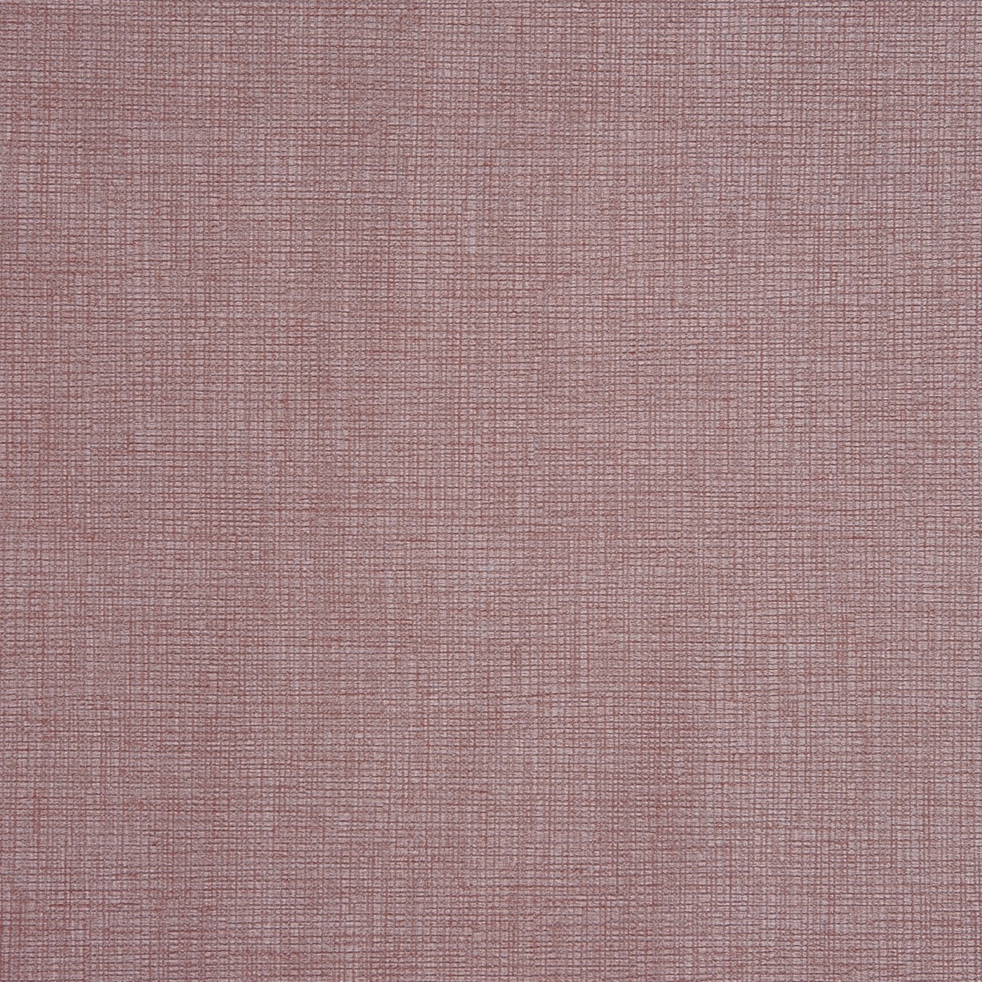Concept Rose Water