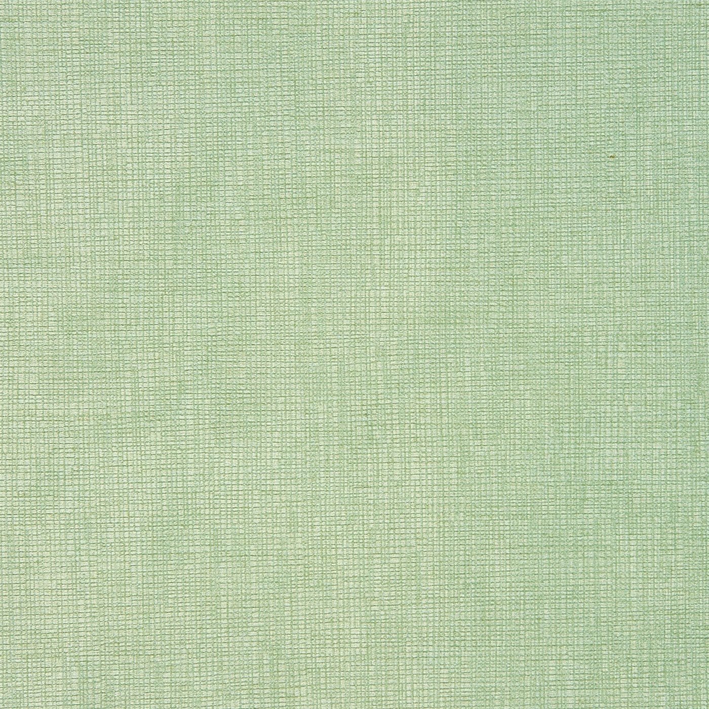 Concept Eucalyptus