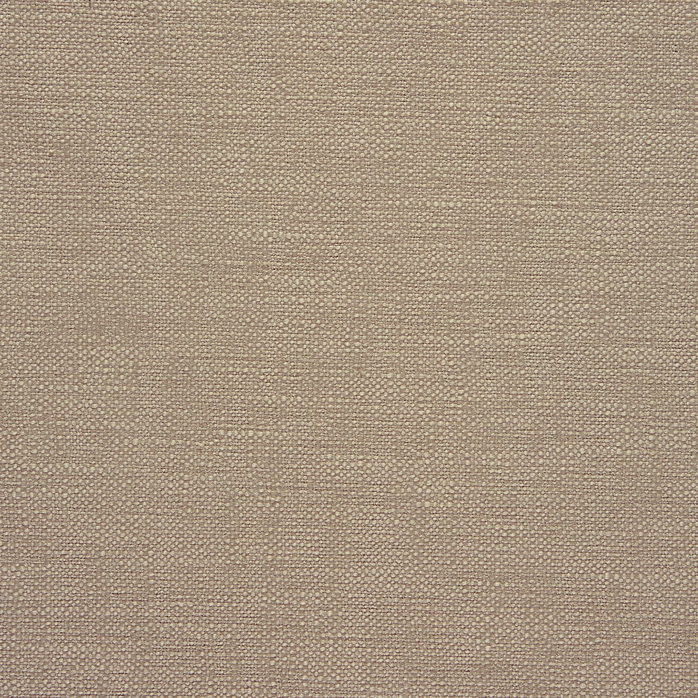 Rustic Pumice