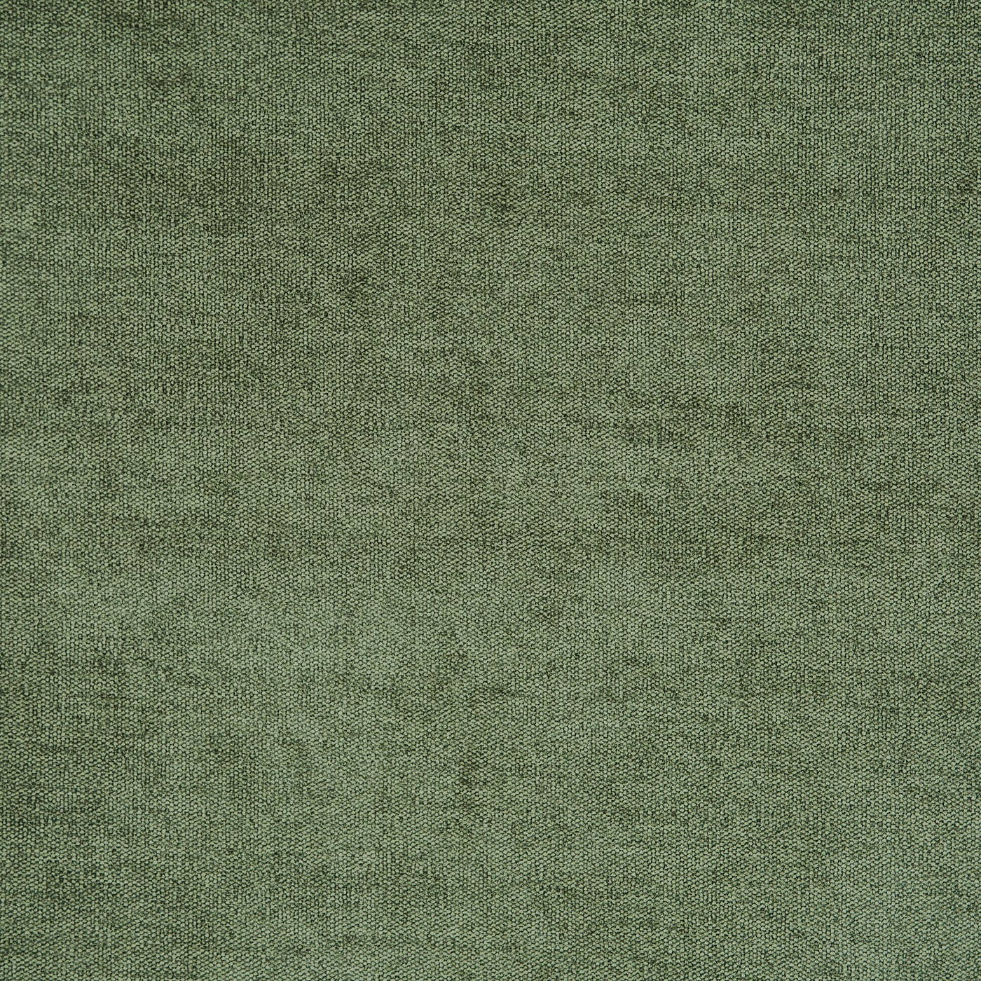 Bravo Eucalyptus