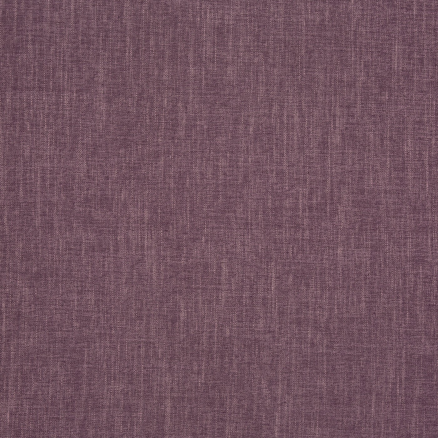 Kielder Heather