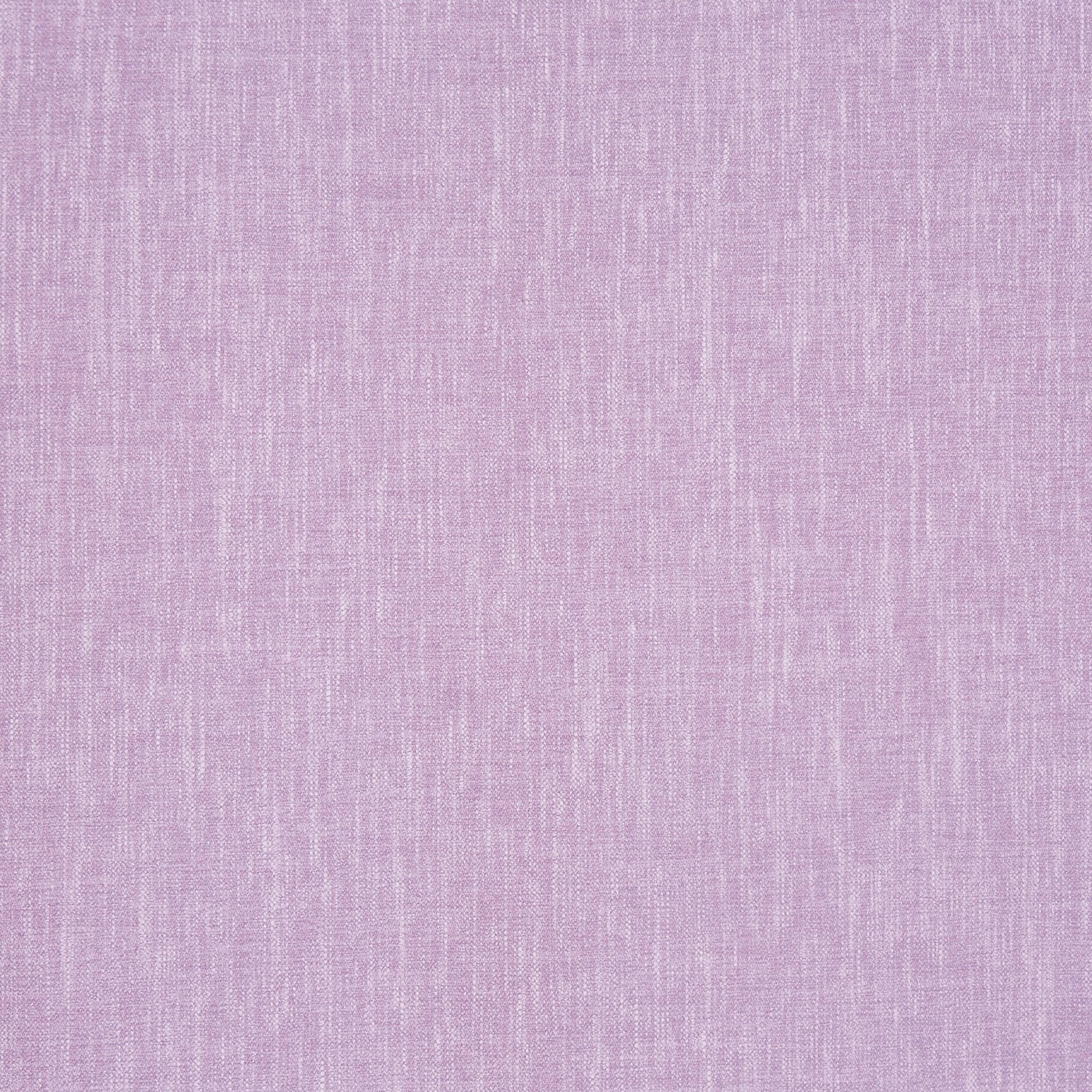 Kielder Lavender